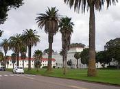 Brief History Palm Trees Southern California