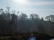 'Tis Season Great Resourcefulness Sanitary Product Whiskers Other Tales