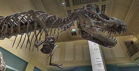 Smithsonian National Museum Of Natural History Panoramic Virtual Tour