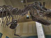 Smithsonian National Museum Natural History Panoramic Virtual Tour