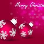 Image: maple / FreeDigitalPhotos.net