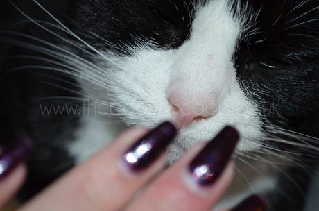 Party Season Nails: Orly 'Fowl Play'