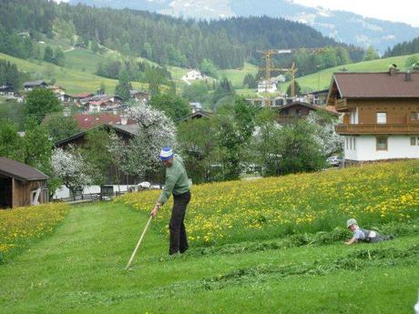 Paragliding and Adventure Sports in Tyrol, Austria