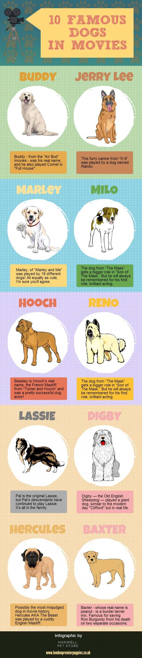 infographic-10-famous-dogs-in-film