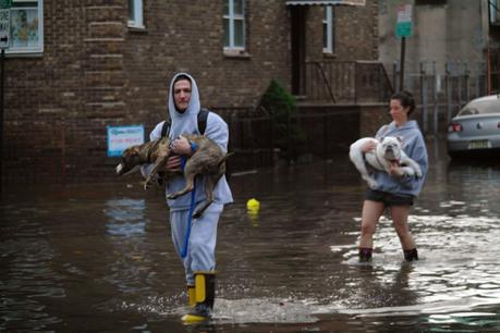 FEMA advises public to prepare pets for natural disaster