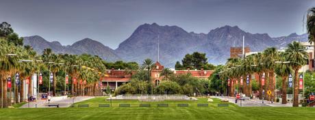 My first campus...the U of A!  Go cats!