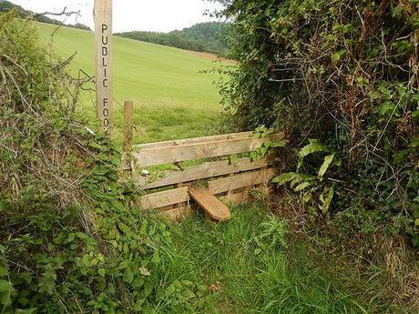 Quandry on the Quantocks (Part 2)