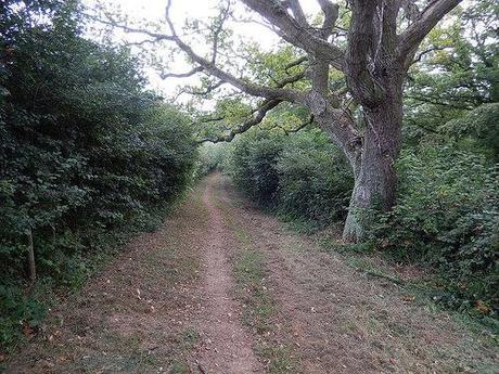 Quandry on the Quantocks (Part 2)