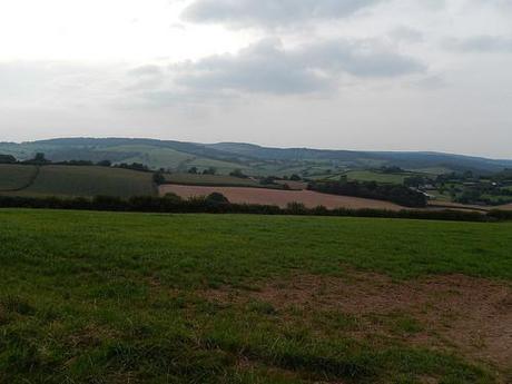 Quandry on the Quantocks (Part 2)