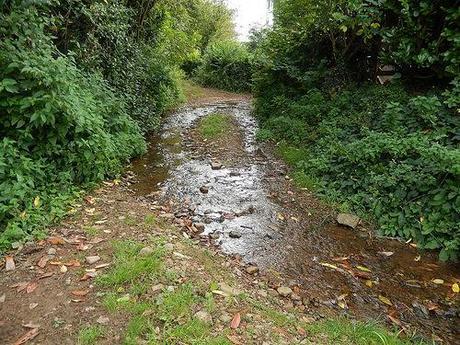 Quandry on the Quantocks (Part 2)