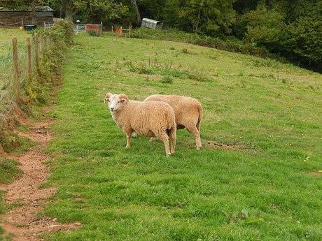 Quandry on the Quantocks (Part 2)