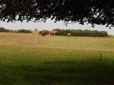 Quandry on the Quantocks (Part 2)