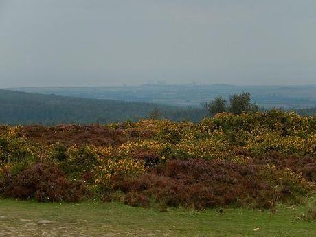 Quandry on the Quantocks (Part 2)