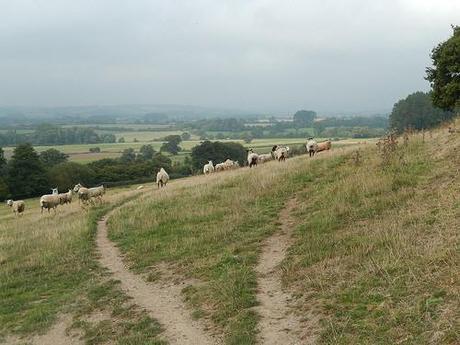 Quandry on the Quantocks (Part 1)