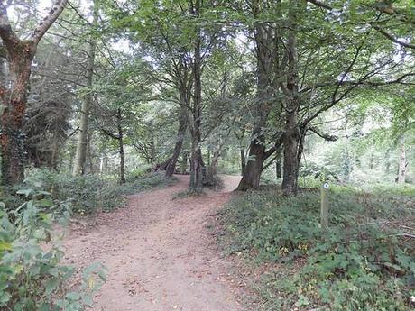 Quandry on the Quantocks (Part 1)