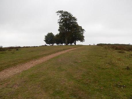 Quandry on the Quantocks (Part 1)