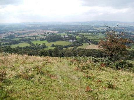 Quandry on the Quantocks (Part 1)