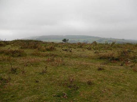 Quandry on the Quantocks (Part 1)