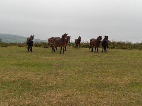 Quandry on the Quantocks (Part 1)