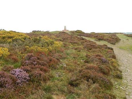 Quandry on the Quantocks (Part 1)