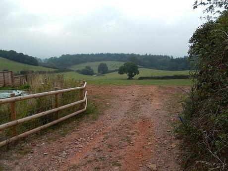 Quandry on the Quantocks (Part 1)