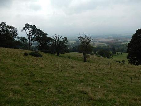 Quandry on the Quantocks (Part 1)