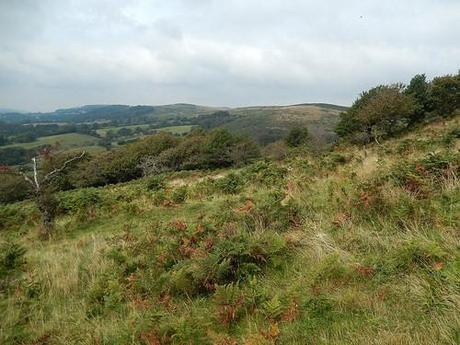 Quandry on the Quantocks (Part 1)