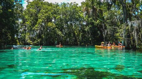 Kayaking Citrus County 6 Low-res