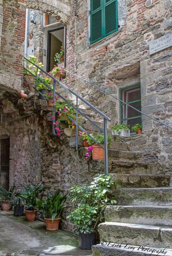 Corniglia, Cinque Terre, Italy, village, narrow street, staircase, flowers, travel photography