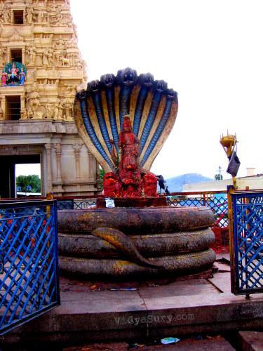 Ghati Subramanya Temple Vidya Sury