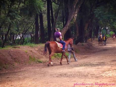 City of Pines: Baguio City