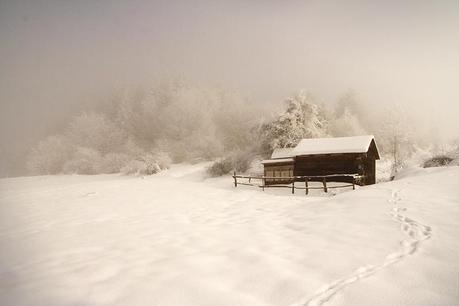 The Day of Frost - 30 Days #10