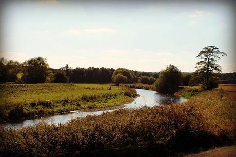Watching the River Flow