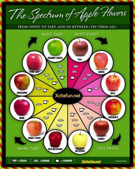 Apples for Rosh Hashanah Apple Chart