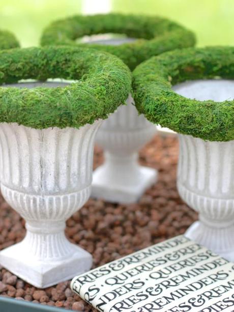 Urns-With-Moss-Rings