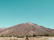 {GBF Style Quiet Beauty}