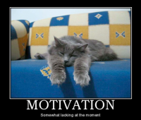 Motivation-cat