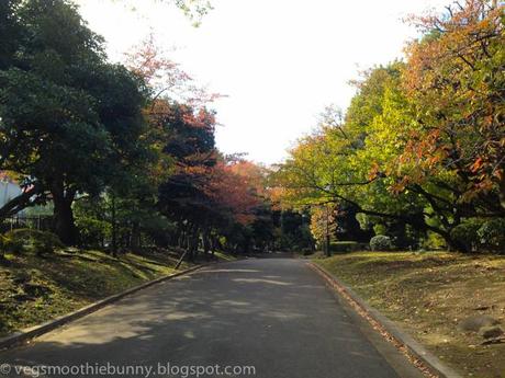 Tokyo Autumn Trip 2013: Tsukiji | Garden Walks