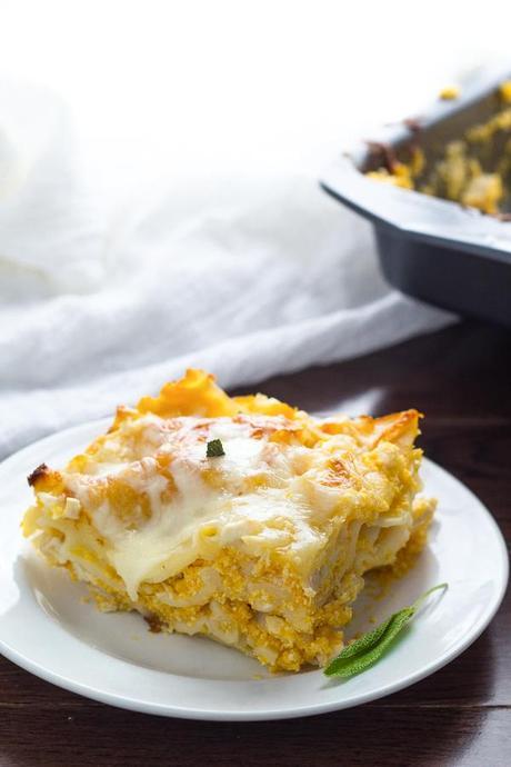 Cheesy Chicken, Butternut and Sage Lasagna- you'll never guess this is lightened up with a Greek yogurt 'bechemel' sauce and butternut squash #lasagna #pumpkin