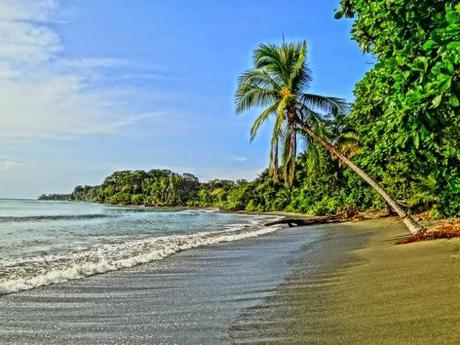 The gorgeous beach at the Osa Peninsula with Blue Osa