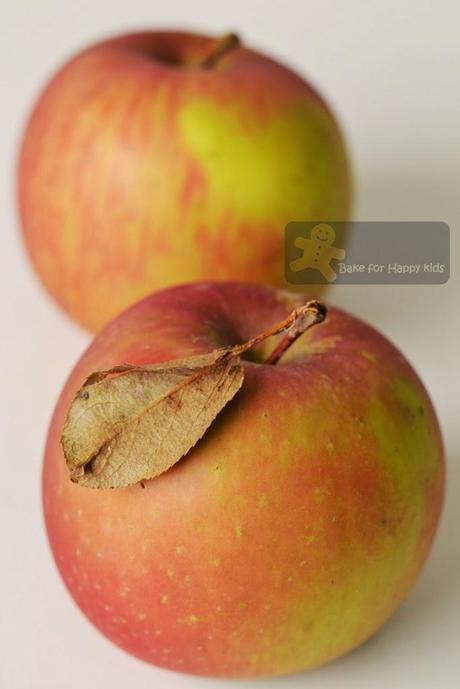 Triple Layered Apple Haystack Tart