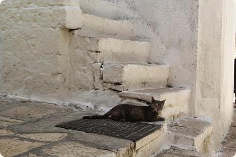 Cisternino is a miracle that you will discover with patience.