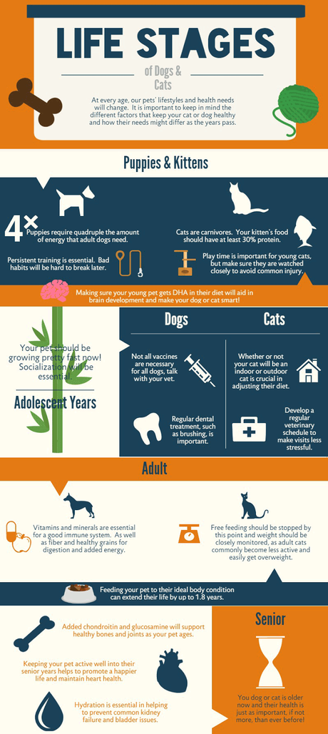 Life Stages of Dogs and Cats (Infographic) ~ Plus, 50% Off Pet Food from Petbrosia!