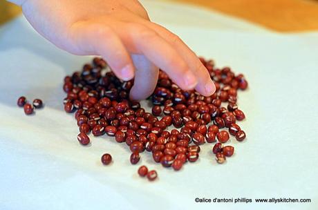 spiced & seasoned adzuki beans