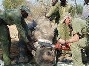 Tanzania: Will Govt Move People Wildlife Access Water?