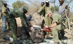 Tanzania: Will Govt Move People So Wildlife Can Access Water?