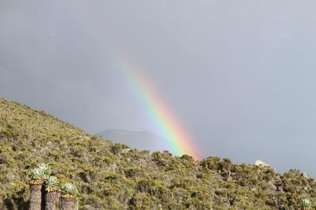 How to climb Mount Kilimanjaro