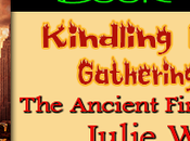 Gathering Tinder Julie Wetzel: Book Blitz with Excerpt