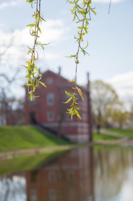 Under the Weeping Willow