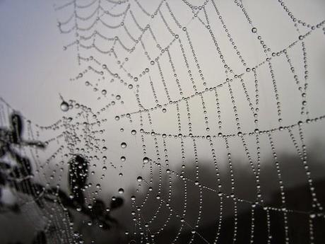 Preaching divine wrath: A pair of timeless and wonderful sermons, one old and one new, to bookend your weekend